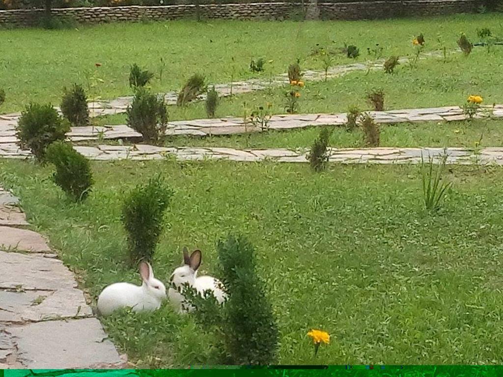 Holiday Park Ranchoto Hotel Kirkovo  Bagian luar foto