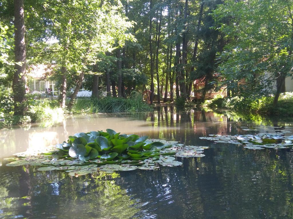 Holiday Park Ranchoto Hotel Kirkovo  Bagian luar foto