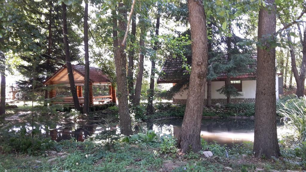 Holiday Park Ranchoto Hotel Kirkovo  Bagian luar foto